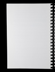 file details