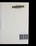 file details