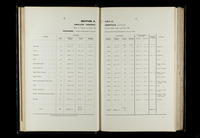 file details