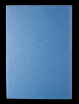 file details