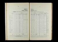 file details