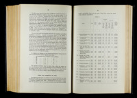 file details