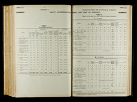 file details