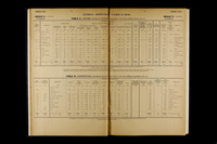 file details
