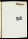 file details