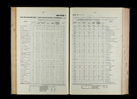 file details
