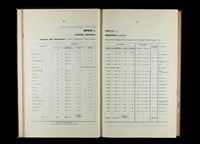 file details