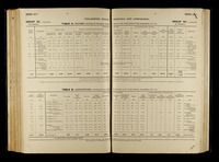file details