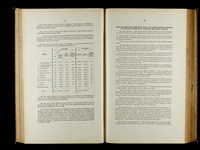 file details