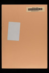 file details
