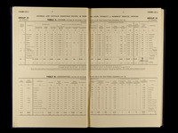 file details