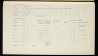file details