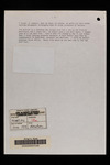 file details