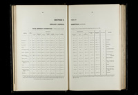 file details