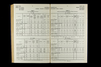 file details