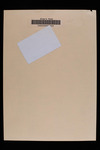 file details