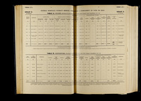 file details