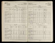 file details