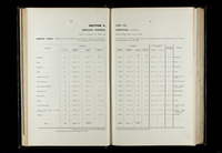 file details