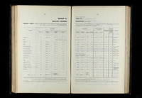 file details