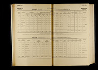 file details