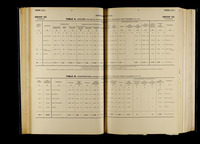 file details
