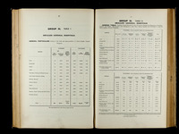 file details