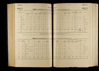 file details