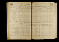 file details