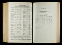 file details
