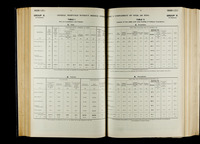 file details