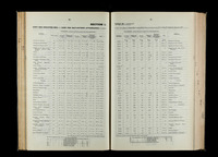 file details