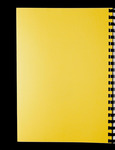 file details