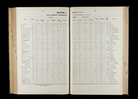 file details