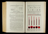 file details