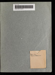 file details