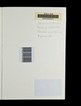 file details