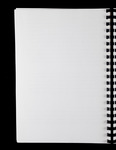 file details