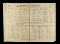 file details