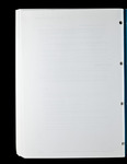 file details