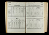file details