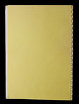 file details