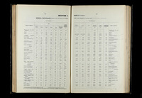 file details