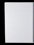 file details