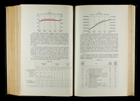 file details
