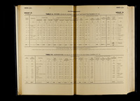 file details