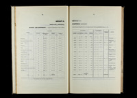 file details
