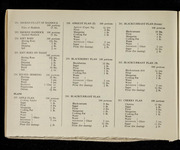 file details