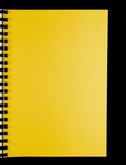file details