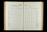 file details